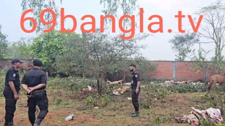 পূর্বাচল উপশহরে প্লটে '১২টি ঘোড়া জবাই, ২৫টি জীবিত ঘোড়া ও বিপ